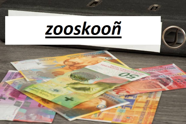 Zooskooñ in action across various industries